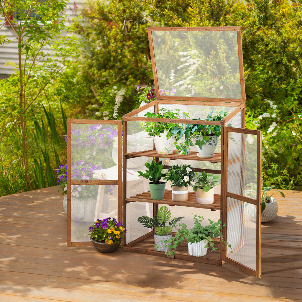 Cold Frame Wooden Greenhouse