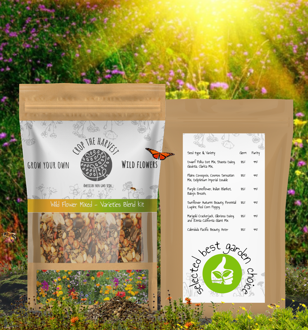 Wild Flower Mixed 18 Varieties Blend Kit
