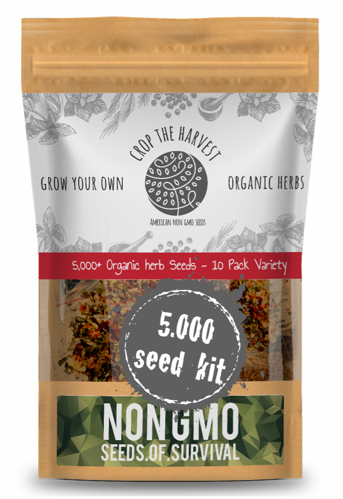 Vegetable + Herb + Fruit + 3x Plant Food Organic Seed Kit