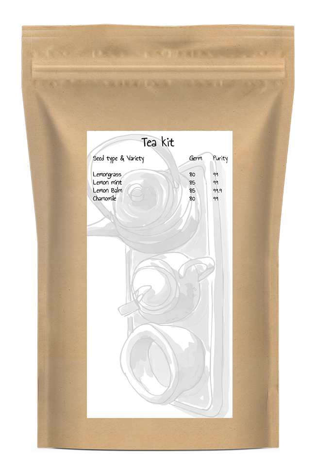 Organic Tea Seed Kit - Zenn blend
